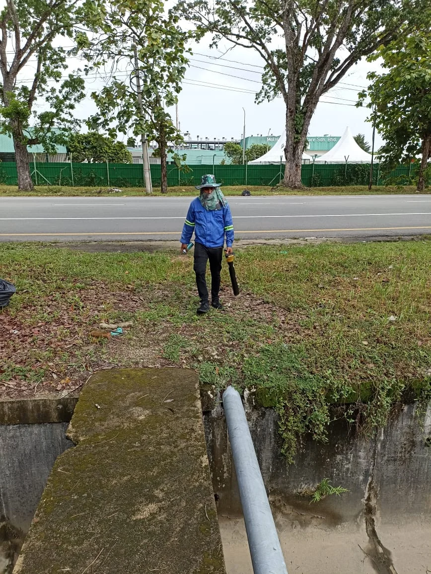 UMAP Activity - umap (38)